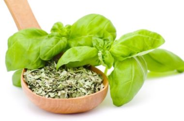 Basilico: i segreti di una pianta aromatica molto diffusa e apprezzata