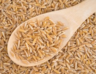 obturateurstock_381392269