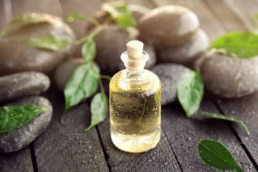 Proprietà e utilizzi dell’olio essenziale di melaleuca, noto anche come di tea tree oil: la guida pratica
