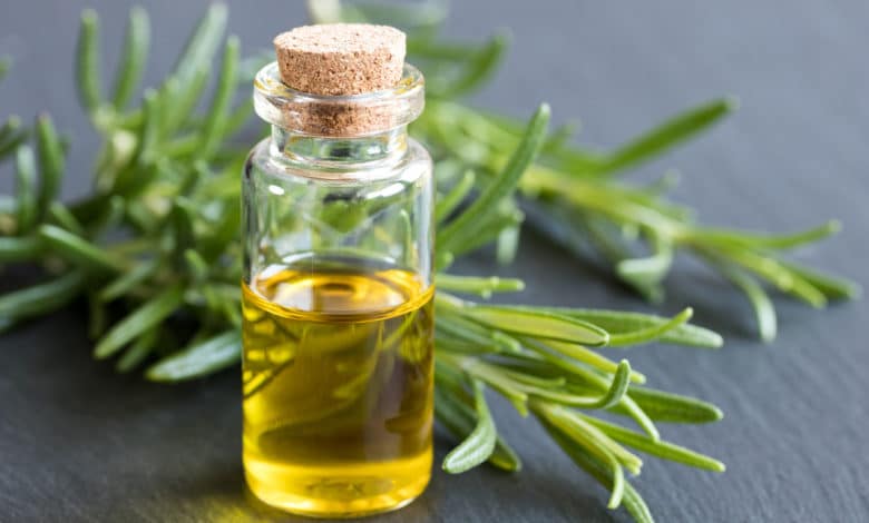 olio essenziale di rosmarino