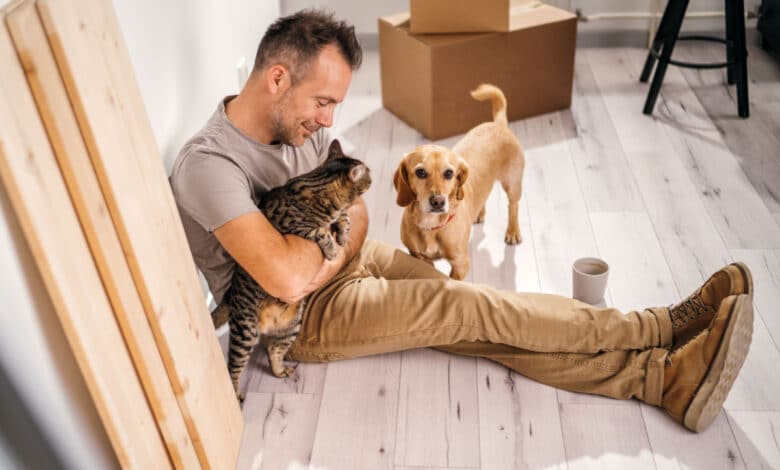 traslocare con gli animali domestici