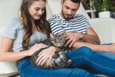 12 cose da sapere per chi vuole adottare un gatto