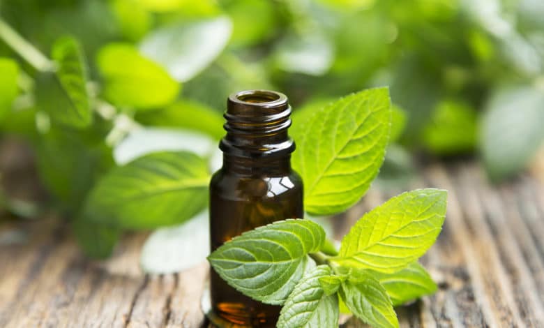 olio essenziale di menta