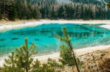 Il Lago Verde: un parco sommerso dall’acqua in Austria