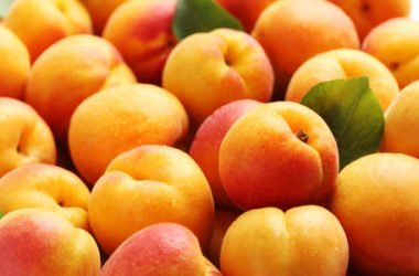 Albicocca: proprietà, utilizzi e ricette… non solo dolci