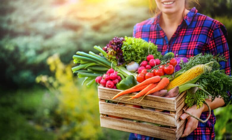 verdura più nutriente