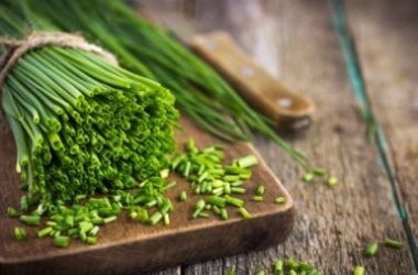 La ciboulette : une herbe aromatique facile à cultiver et possédant de nombreuses propriétés