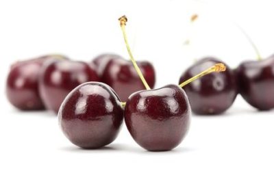 Amarena: proprietà e ricette da provare