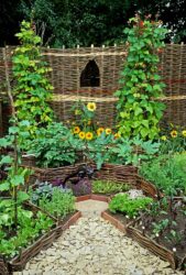 I lavori dell’orto di luglio: cosa seminare, raccogliere e potare