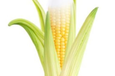 Bioplastica: che cos’è e che prospettive apre