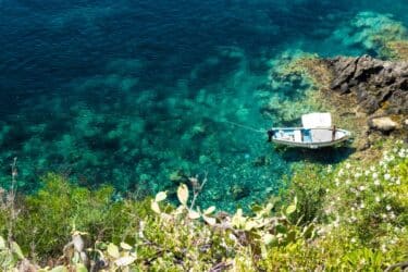 La riserva marina di Ustica dopo 30 anni cerca il rilancio