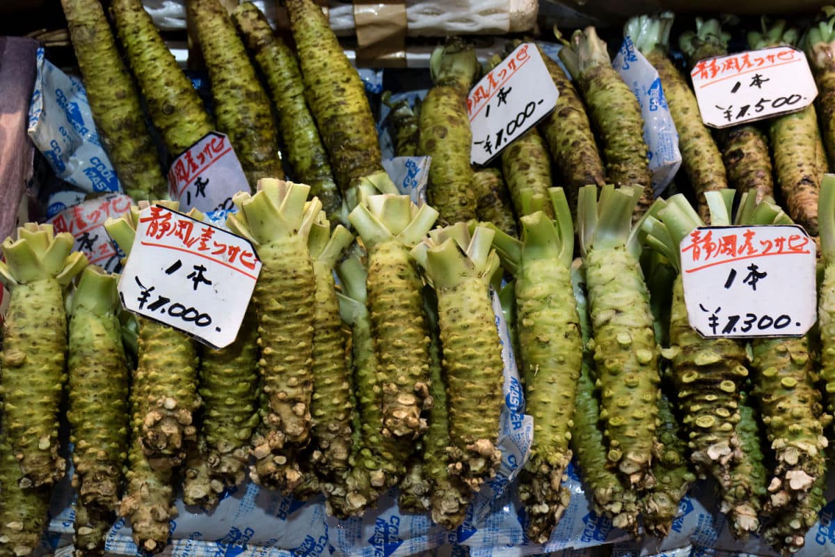 Wasabi cos'è e come si prepara la salsa