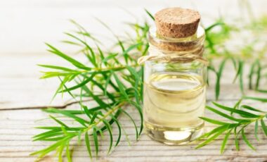 Tea tree oil: proprietà dell’olio di melaleuca