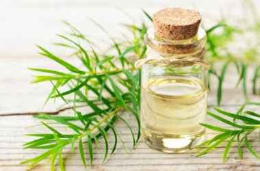 Tea tree oil: proprietà dell’olio di melaleuca