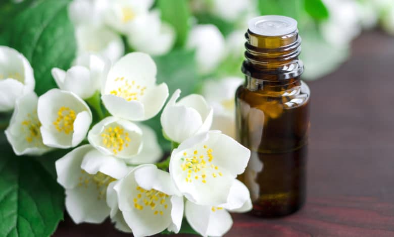olio essenziale di gelsomino