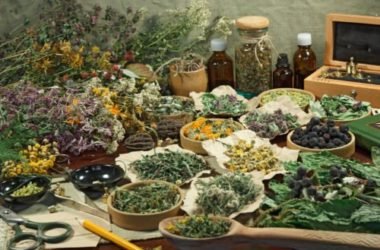 Fitoterapia: guida alle piante officinali per curarsi naturalmente