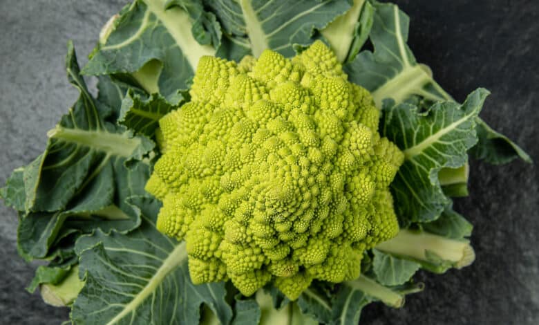 ricette con il cavolo romano