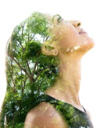 Gemmoterapia: tutto il potere curativo delle gemme in questa medicina naturale