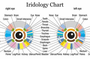 Quello che c’è da sapere sull’iridologia: gli occhi come specchio della salute, oltre che dell’anima