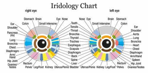Quello che c’è da sapere sull’iridologia: gli occhi come specchio della salute, oltre che dell’anima