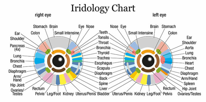 iridologia