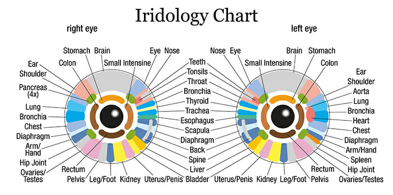 iridologia