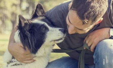 Leishmaniosi: cos’è e come si cura
