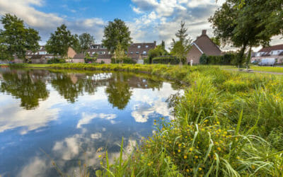 ‘A New We’, un documentario ci racconta di 10 eco-villaggi in Europa