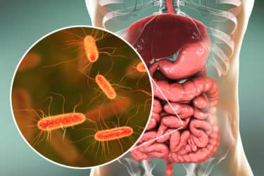 Escherichia coli: quello che devi sapere su questo batterio
