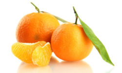 Mandarino, benefici e utilizzi in cucina e in cosmetica