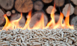 Come scegliere il pellet