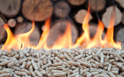 Come scegliere il pellet
