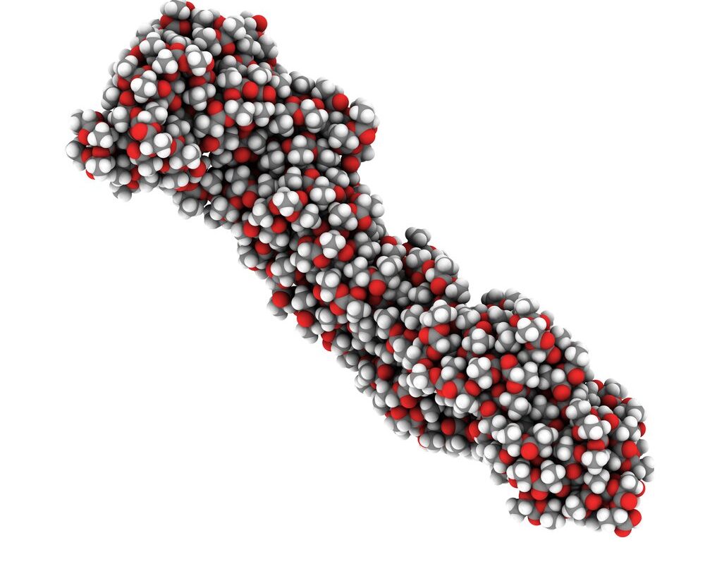 acido polilattico PLA