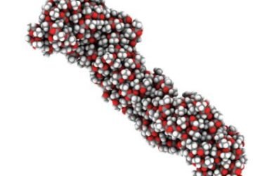 Acido Polilattico (PLA): che cos’è e a cosa serve