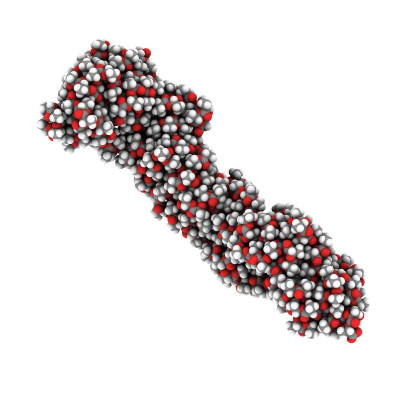 acido polilattico PLA