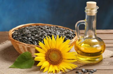 Olio di girasole: un ingrediente da scoprire