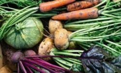 I lavori dell’orto di ottobre: cosa seminare, raccogliere e potare