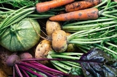 I lavori dell’orto di ottobre: cosa seminare, raccogliere e potare
