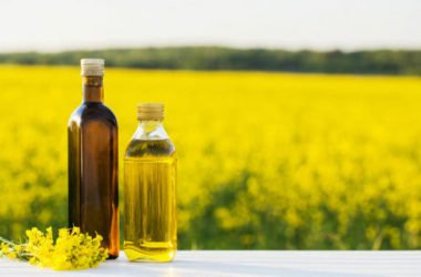 Quello che c’è da sapere sull’olio di colza e sulla sua variante dell’olio di canola