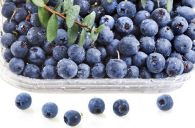 Mirtillo nero: benefici, utilizzi e ricette