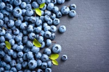 Tutto sul mirtillo nero, un alimento prezioso per la nostra salute