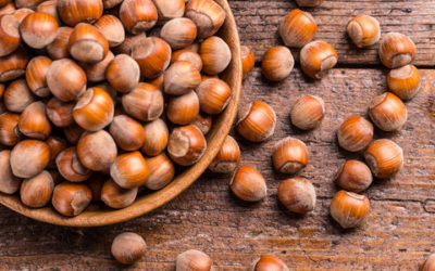 Nocciole: proprietà, utilizzi e ricette