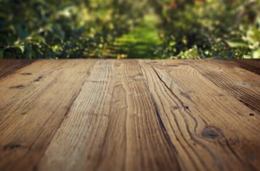 Rivestimenti in legno: la scelta del migliore legno per la propria casa