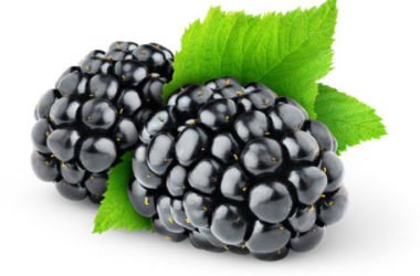 Mora, frutto ricco di benefici: utilizzi e ricette