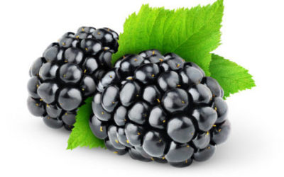 Mora, frutto ricco di benefici: utilizzi e ricette