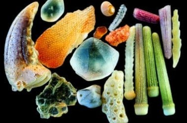 Le sable vu au microscope : un monde de formes et de couleurs
