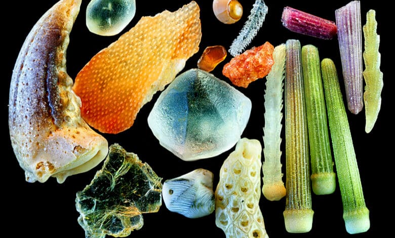 sabbia vista al microscopio