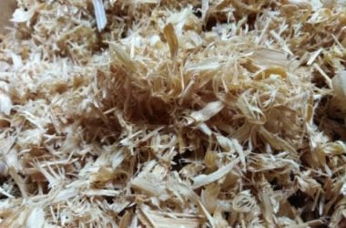 Tutti i vantaggi della fibra di bambù: una fibra di origine vegetale dalle innumerevoli proprietà