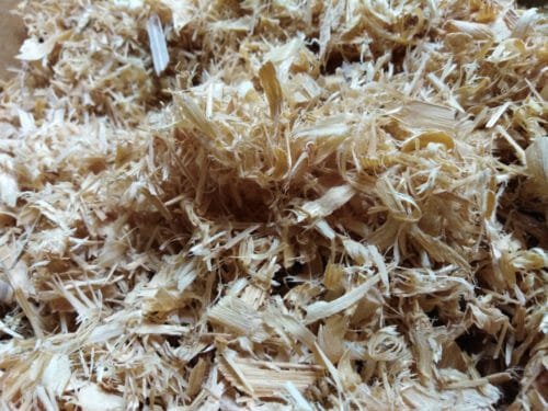 Tutti i vantaggi della fibra di bambù: una fibra di origine vegetale dalle innumerevoli proprietà