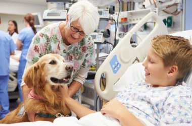 Cos’è la pet therapy o zooterapia: benefici e cose da sapere
